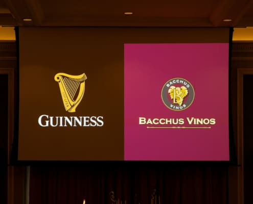 IRFU Charitable Trust 2025 Rugby Lunch kindly sponsored by Aon (126)