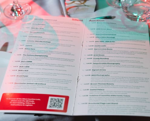 IRFU Charitable Trust 2026 Rugby Ball (19)