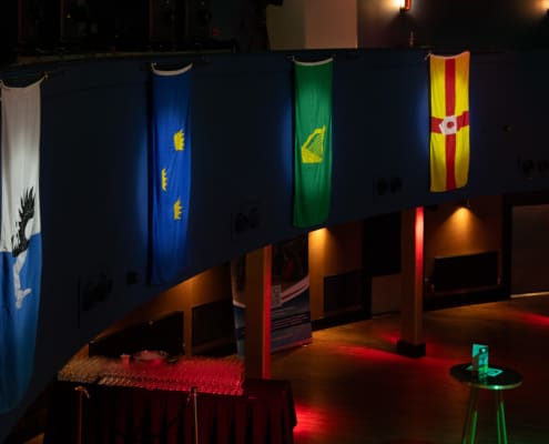 IRFU Charitable Trust 2026 Rugby Ball (2)